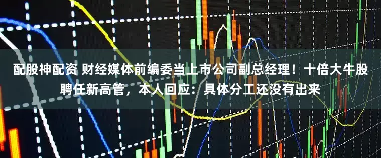 配股神配资 财经媒体前编委当上市公司副总经理！十倍大牛股聘任新高管，本人回应：具体分工还没有出来
